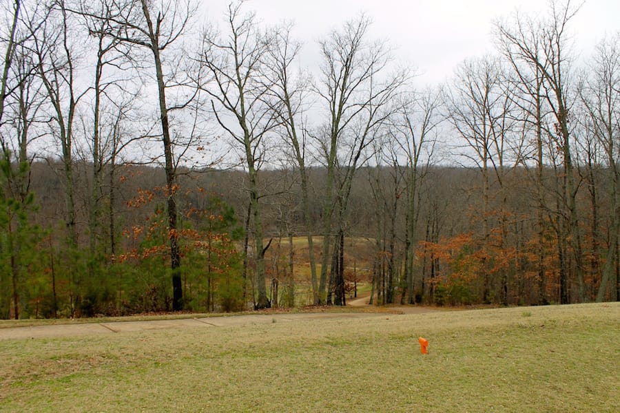 The Tennessean Tract 12 photo 6