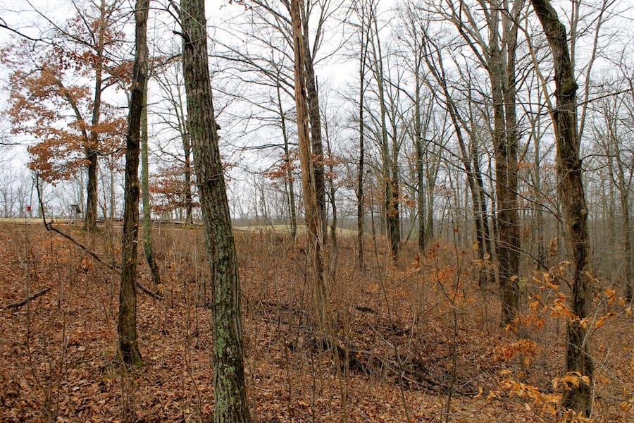 The Tennessean Tract 12 photo 11