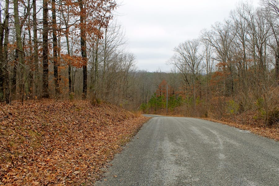 The Tennessean Tract 12 photo 16