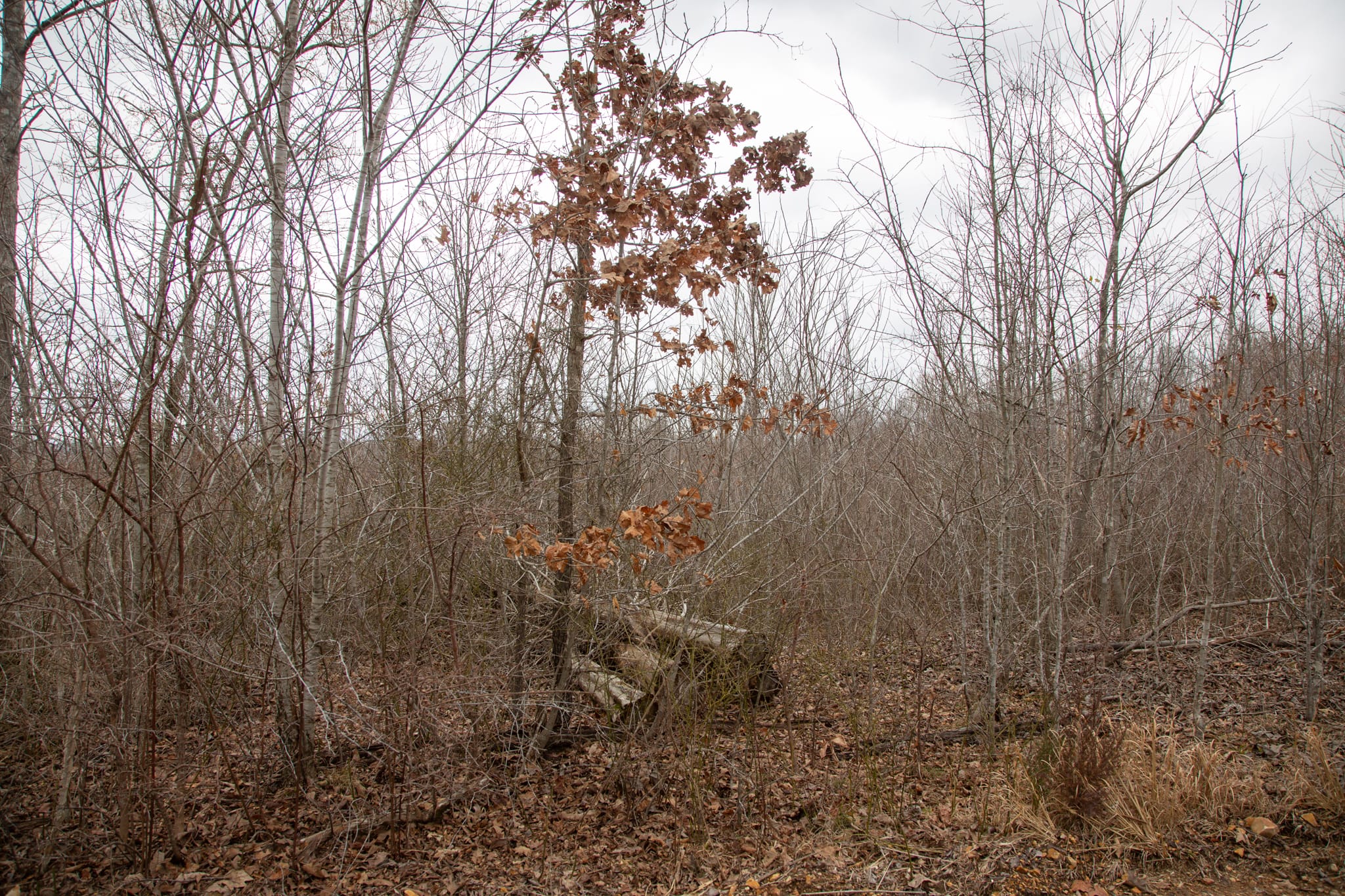 Southwind Ranch Tract 27 photo 7