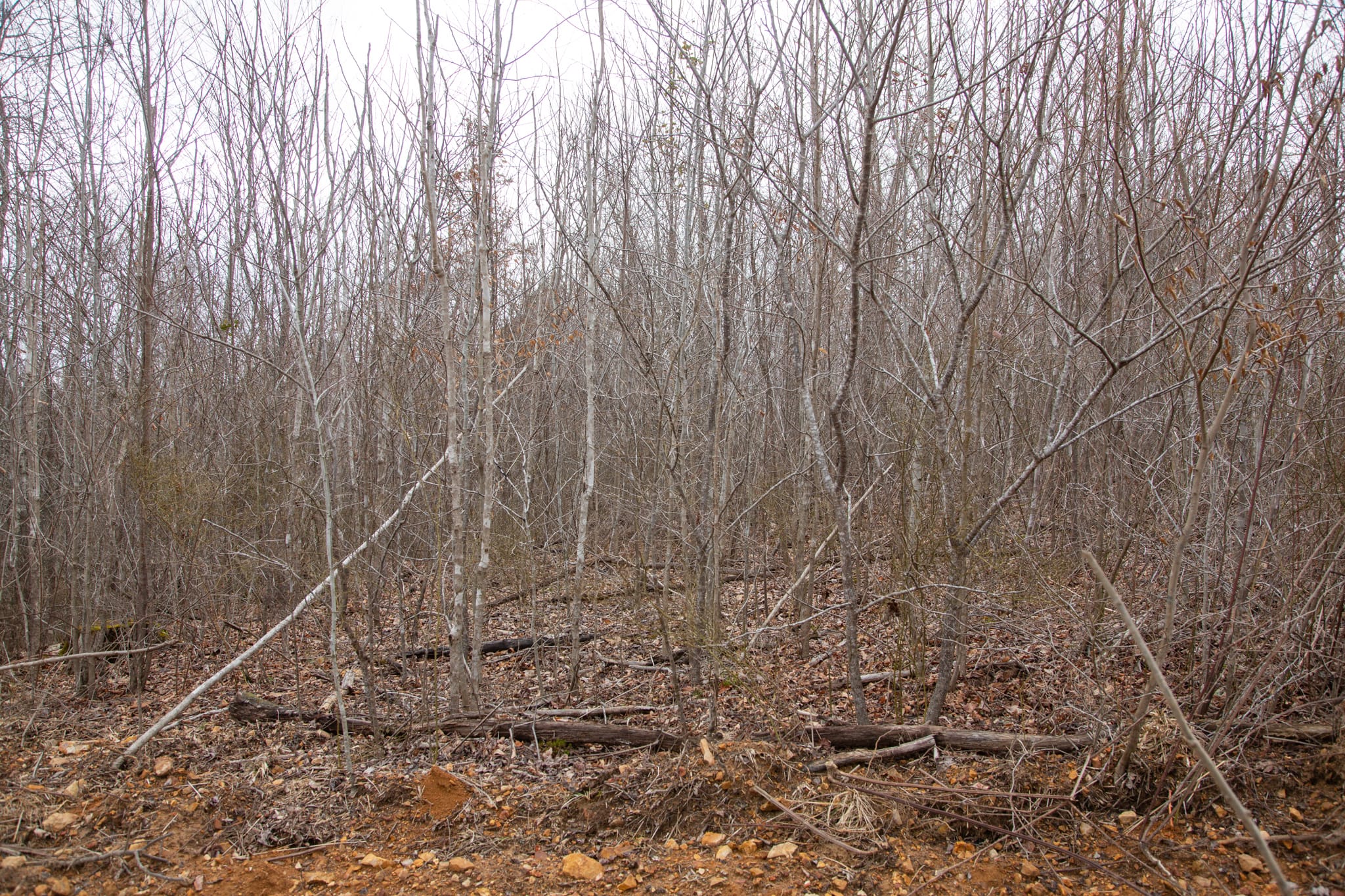 Southwind Ranch Tract 27 photo 8