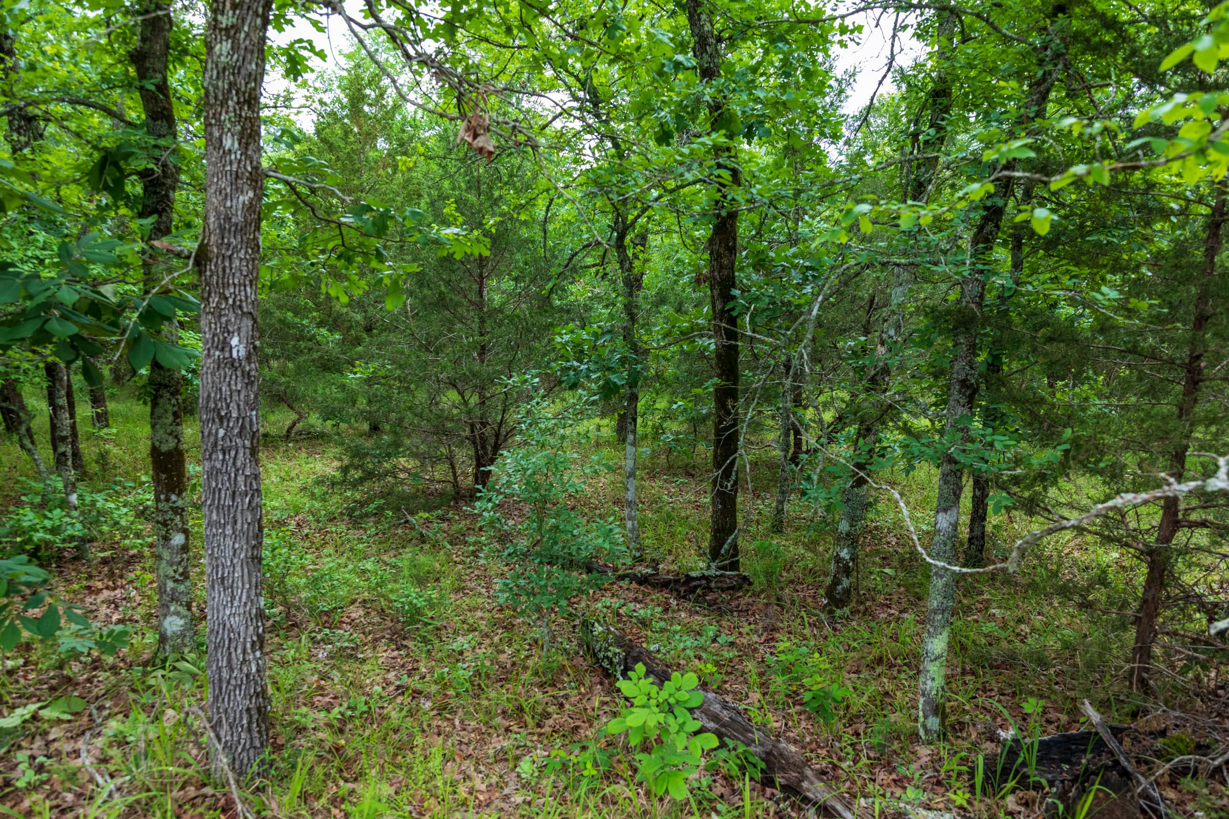 Falcon Crest Tract 13 photo 5