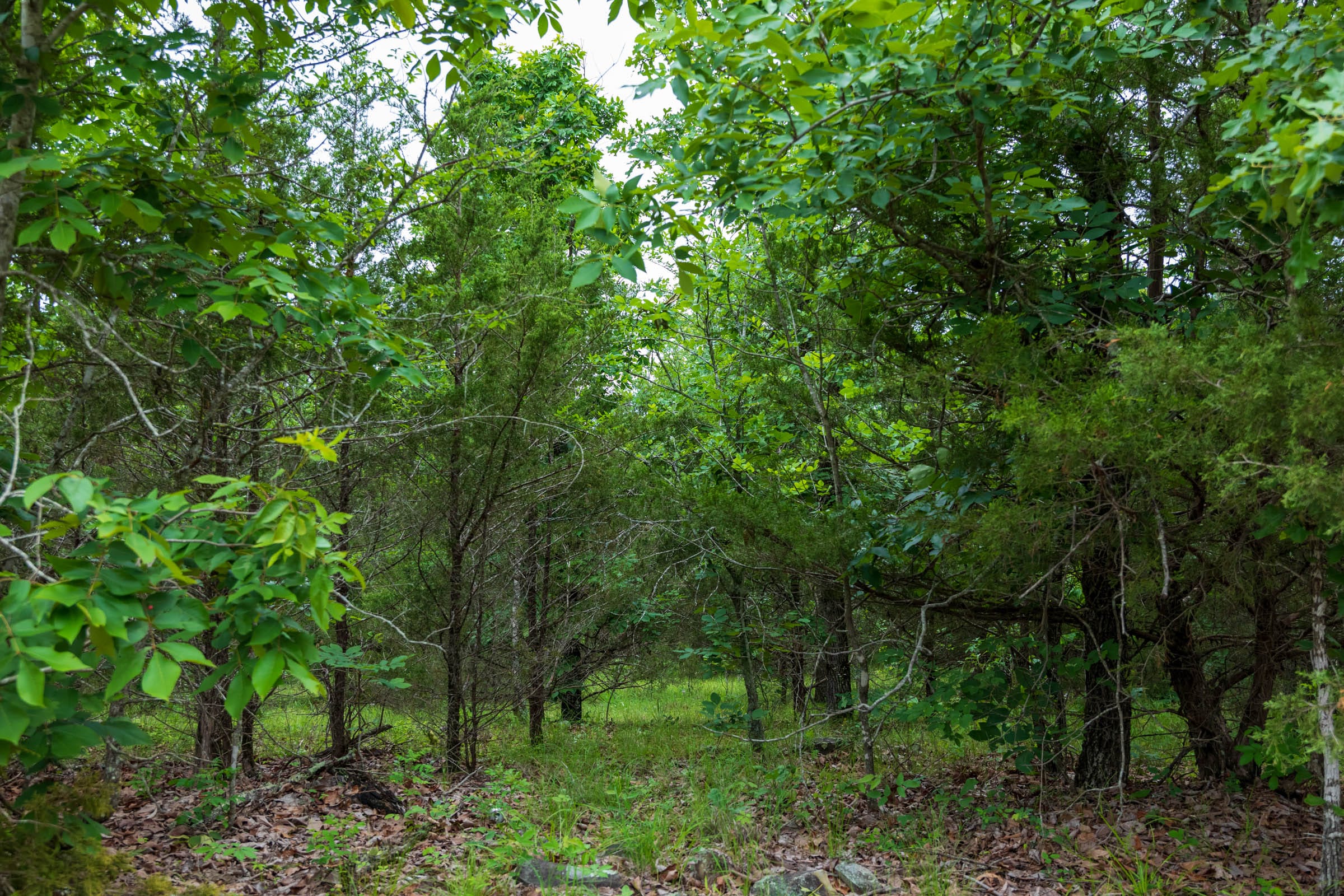 Falcon Crest Tract 13 photo 8