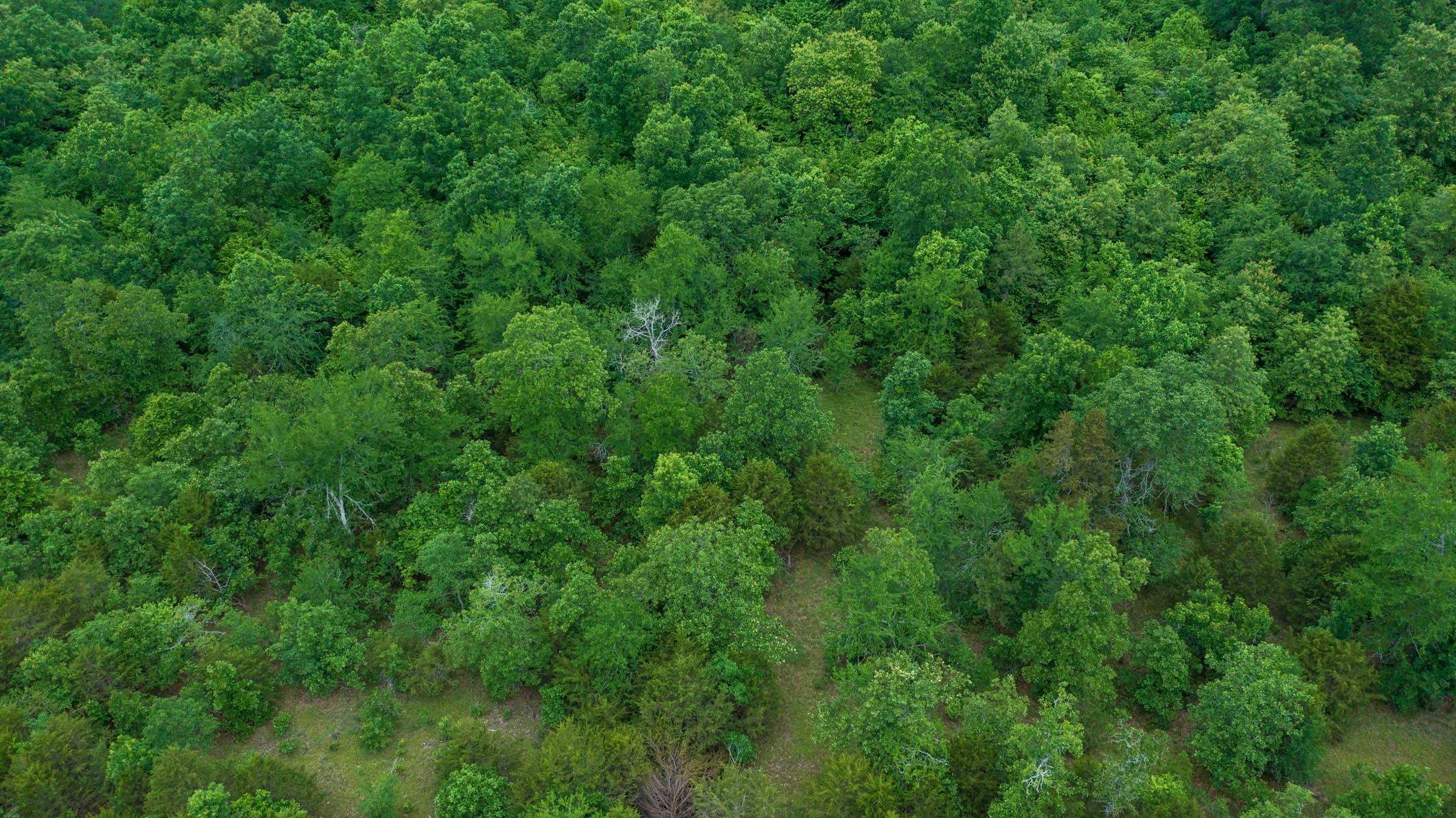 Falcon Crest Tract 13 photo 14