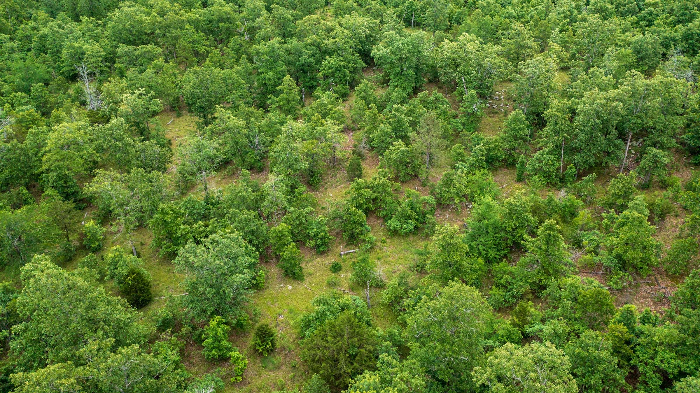 Falcon Crest Tract 13 photo 9