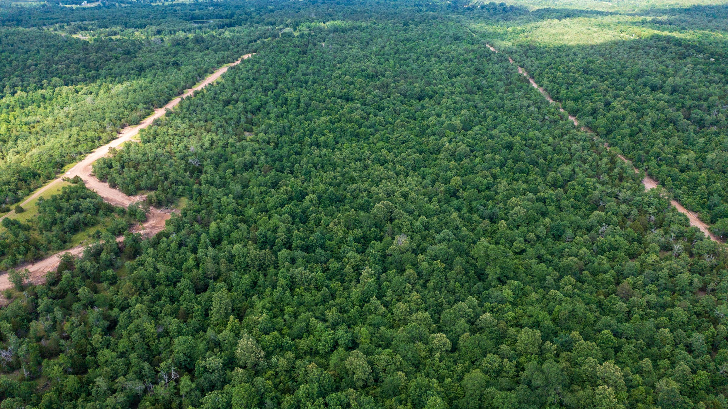 Falcon Crest Tract 13 photo 17