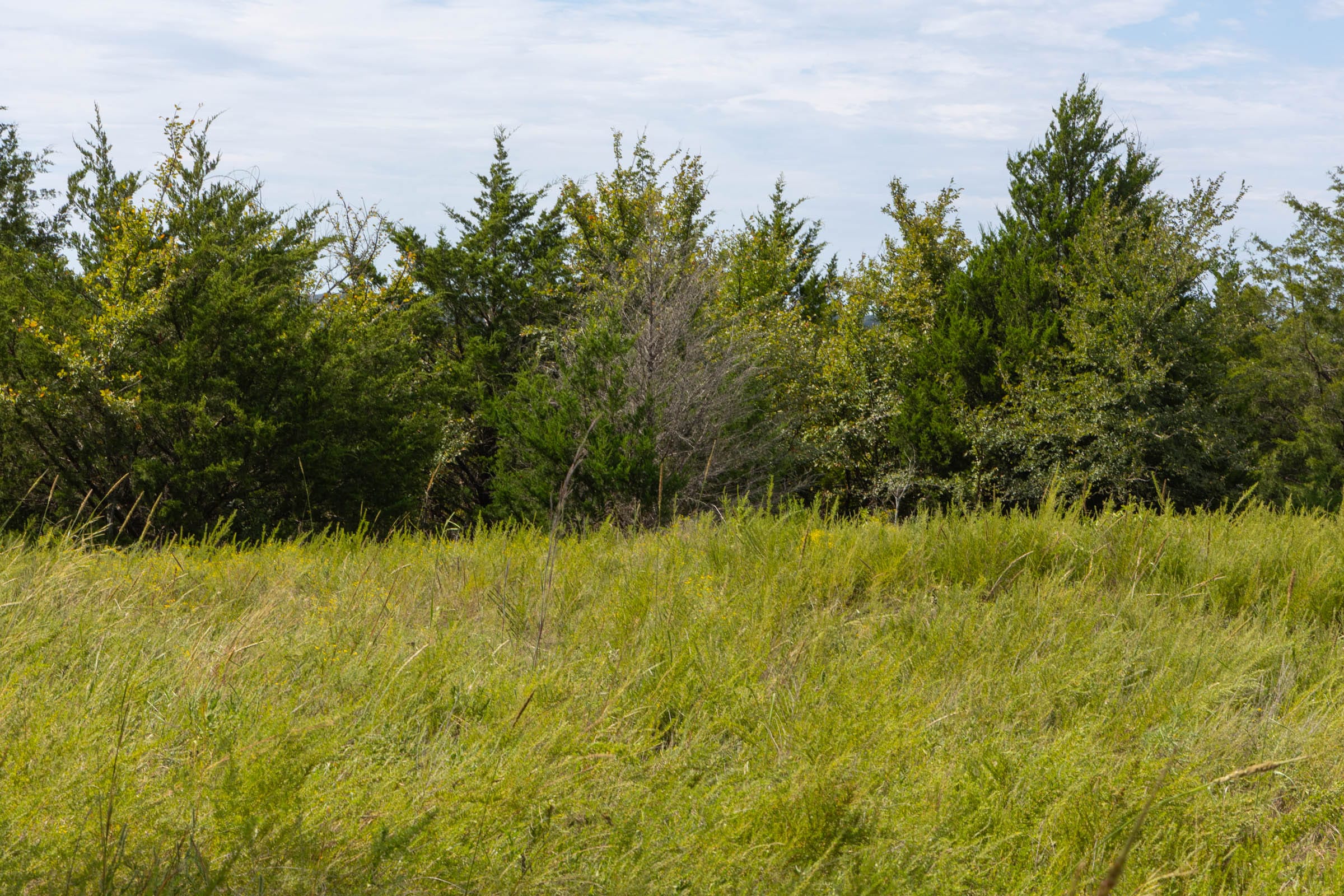Reserves At Cattail Cove Phase II Tract 54 photo 7