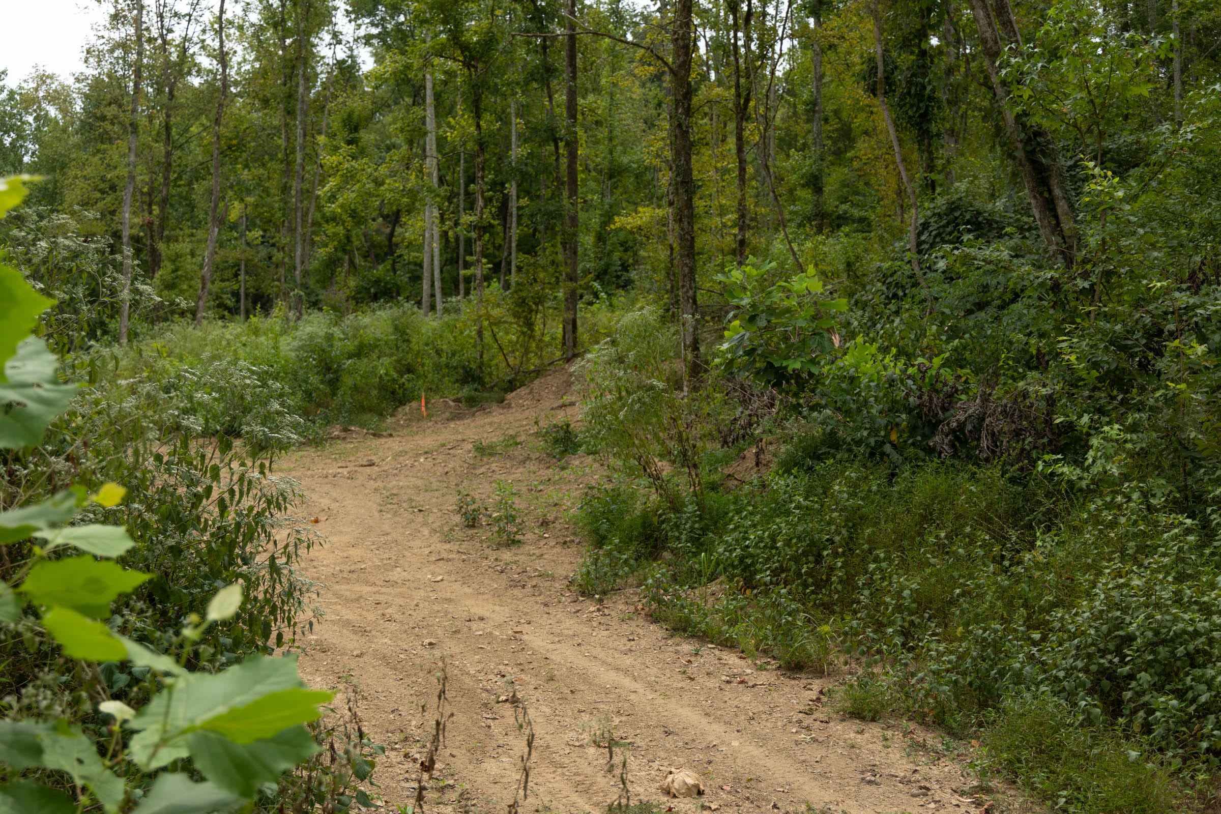 Big White Oak Tract 132 photo 10