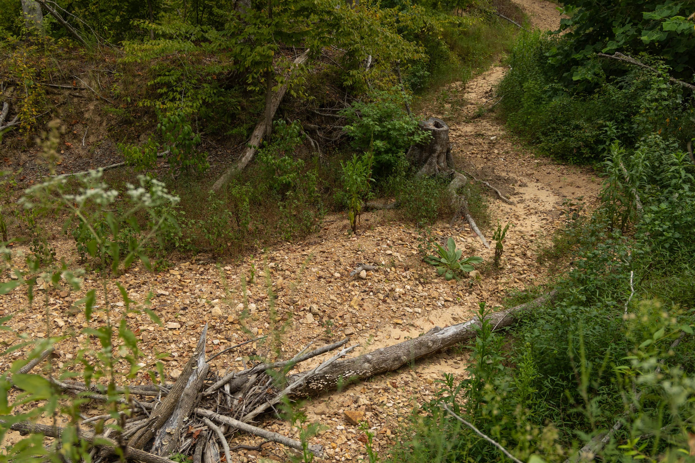 Big White Oak Tract 132 photo 9