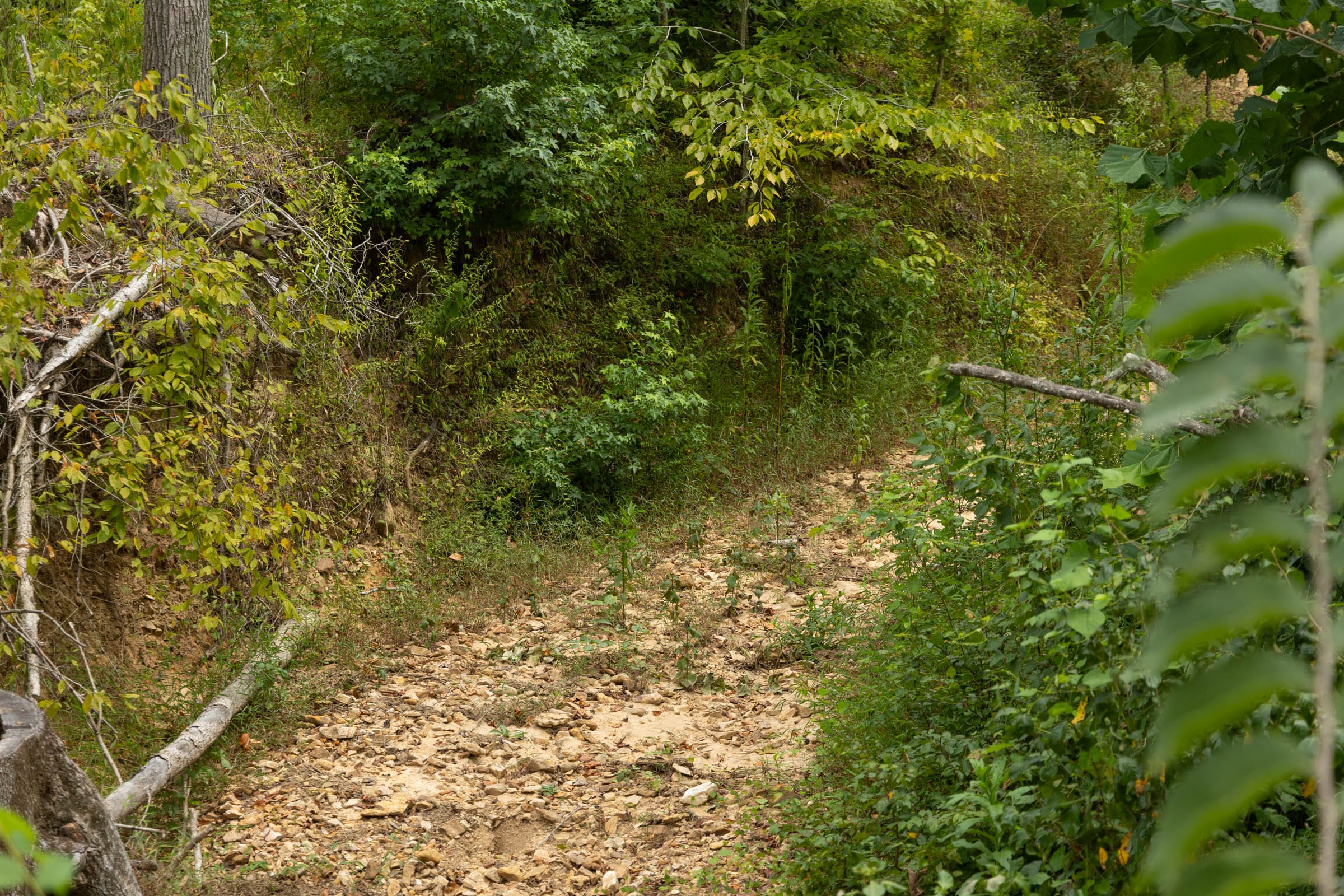 Big White Oak Tract 132 photo 2