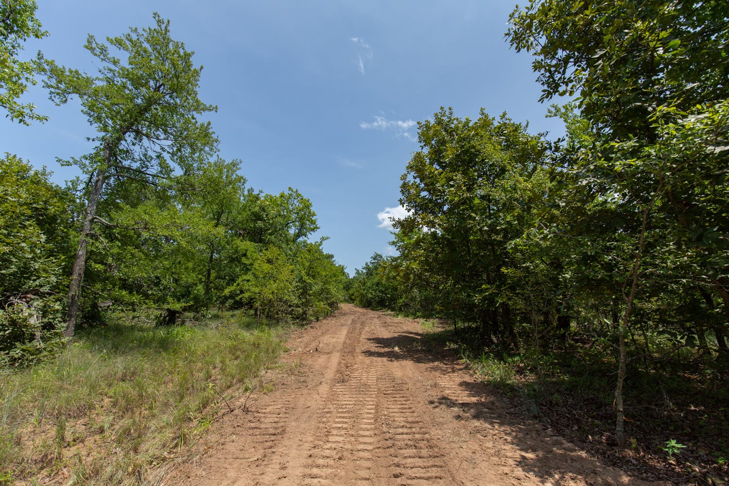Timber Ridge Tract 47 photo 1