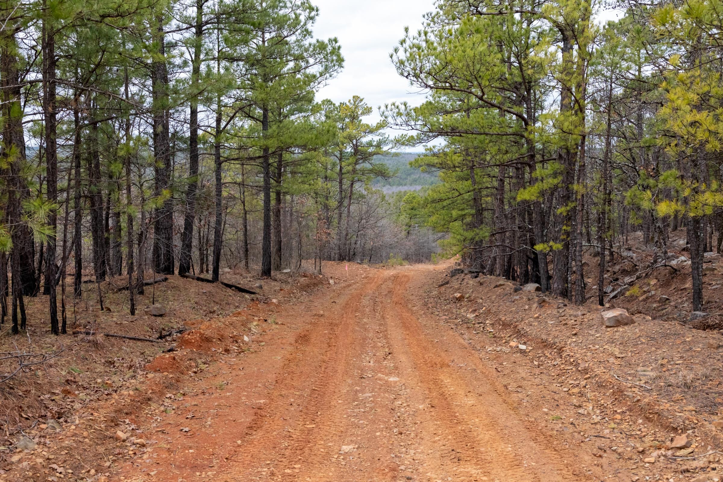 Stone Bridge Phase III Tract 209 photo 2
