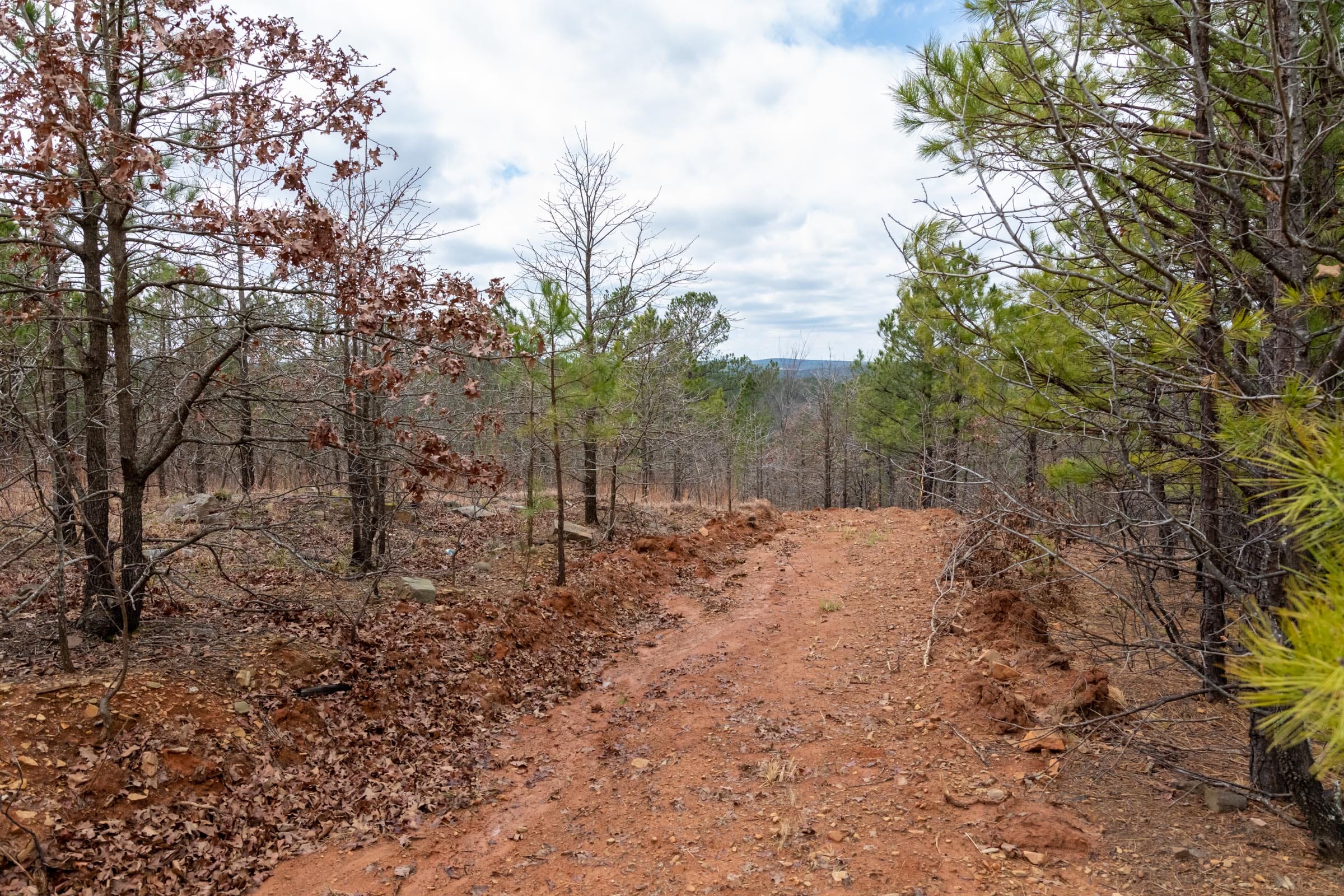 Stone Bridge Phase III Tract 209 photo 15