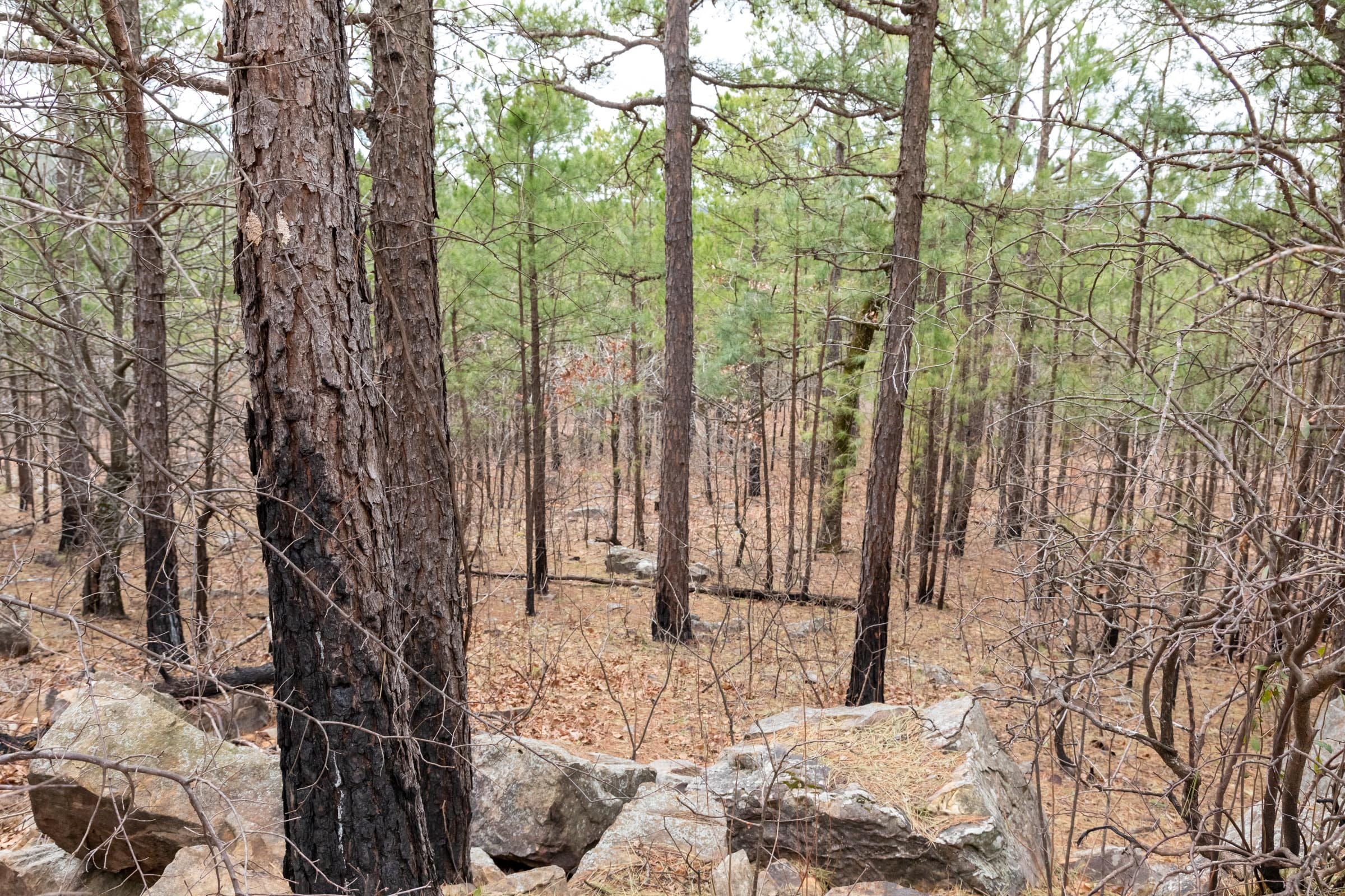 Stone Bridge Phase III Tract 209 photo 9
