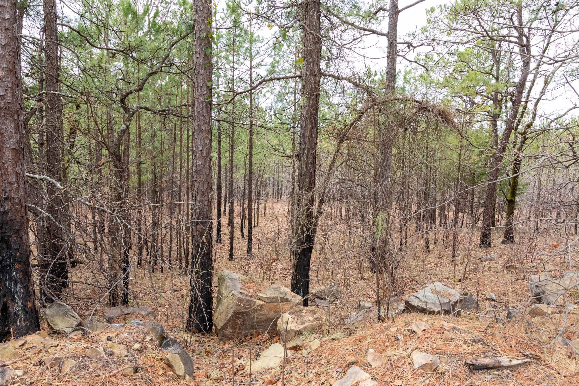 Stone Bridge Phase III Tract 209 photo 10