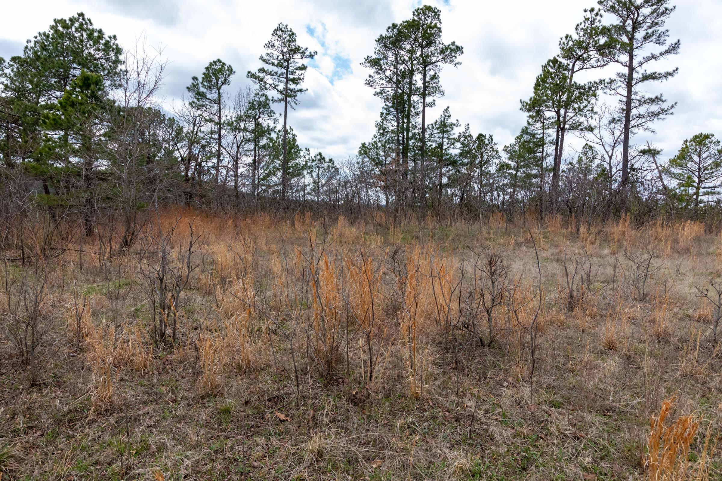 Stone Bridge Phase III Tract 209 photo 11