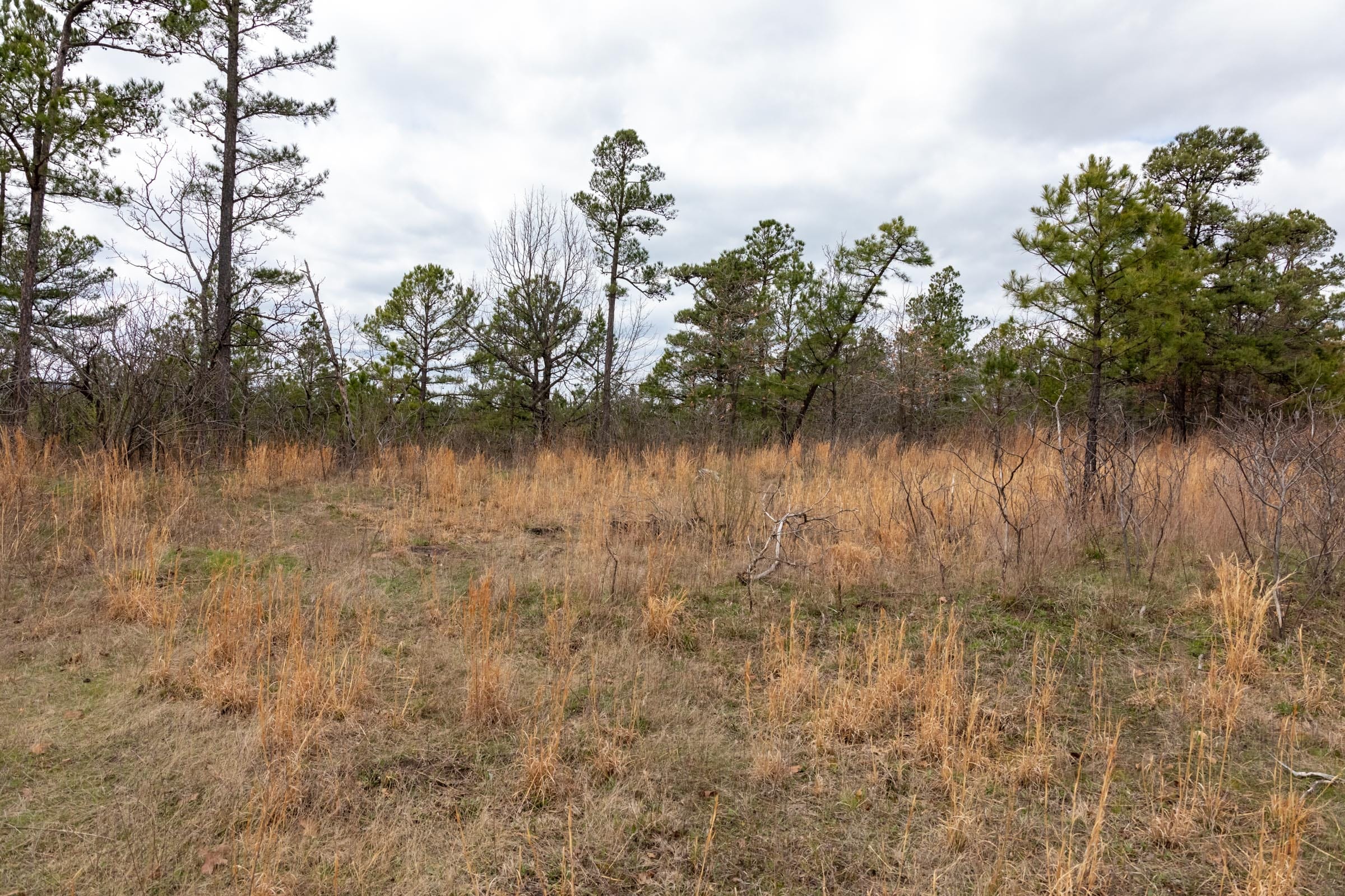 Stone Bridge Phase III Tract 209 photo 12