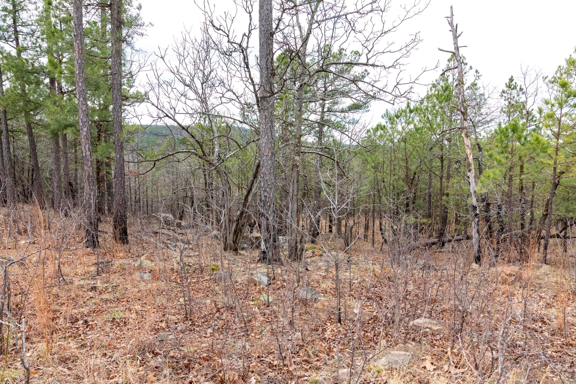 Stone Bridge Phase III Tract 209 photo 13