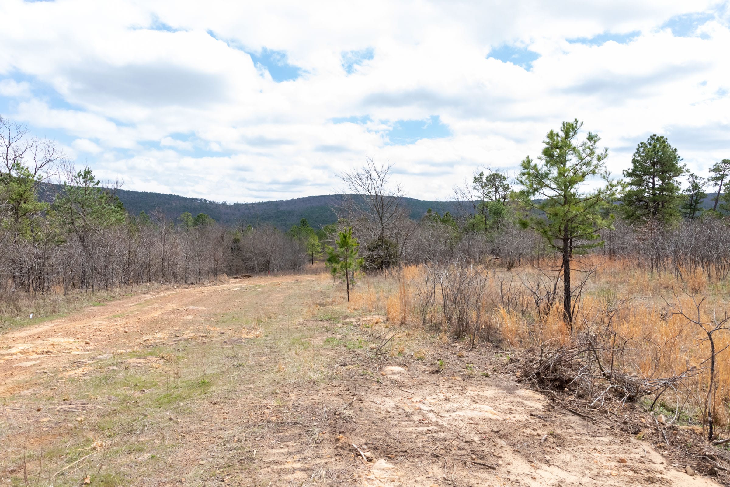 Stone Bridge Phase III Tract 209 photo 8