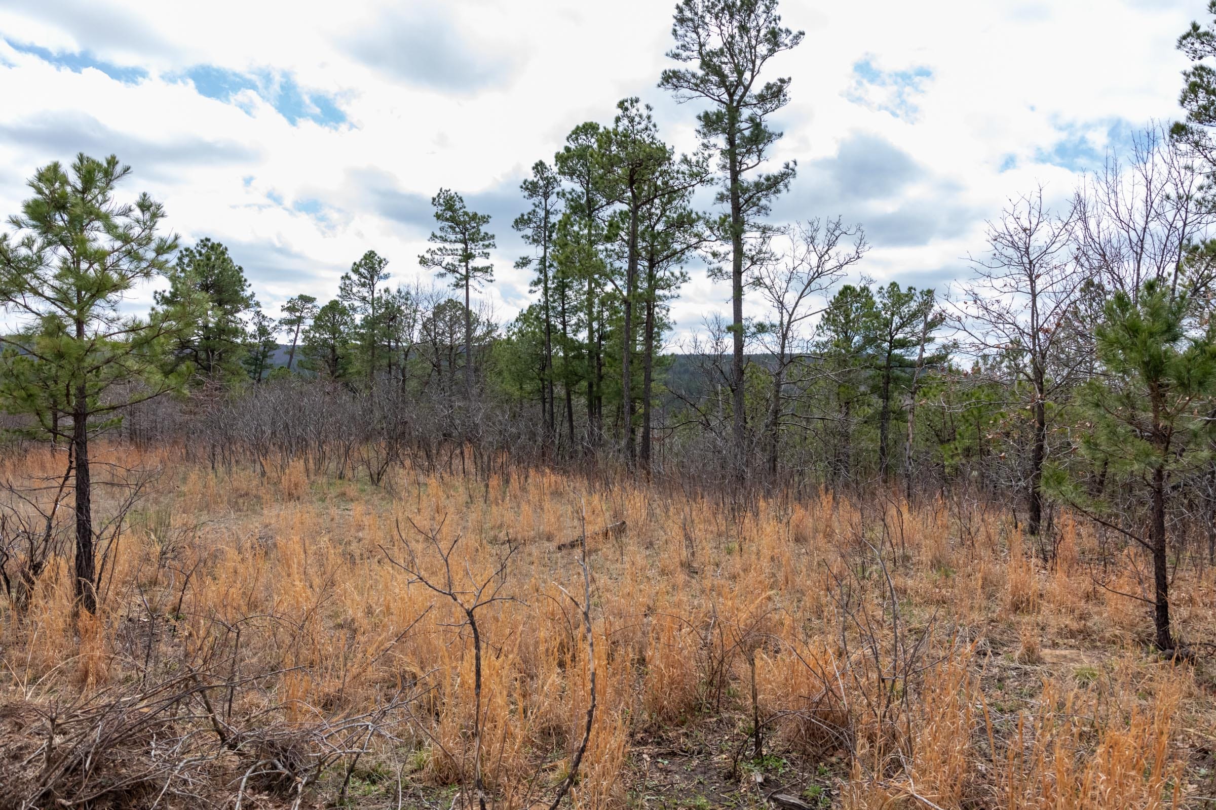 Stone Bridge Phase III Tract 209 photo 14