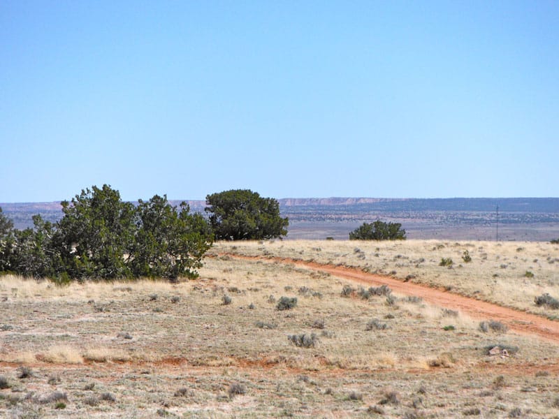 Navajo Ranch Tract 154 photo 6