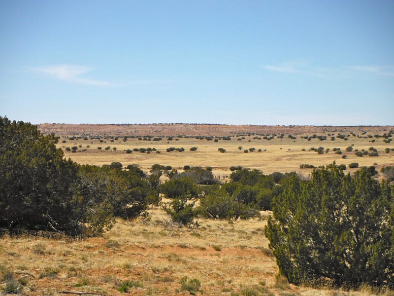 Navajo Ranch Tract 154 photo 11