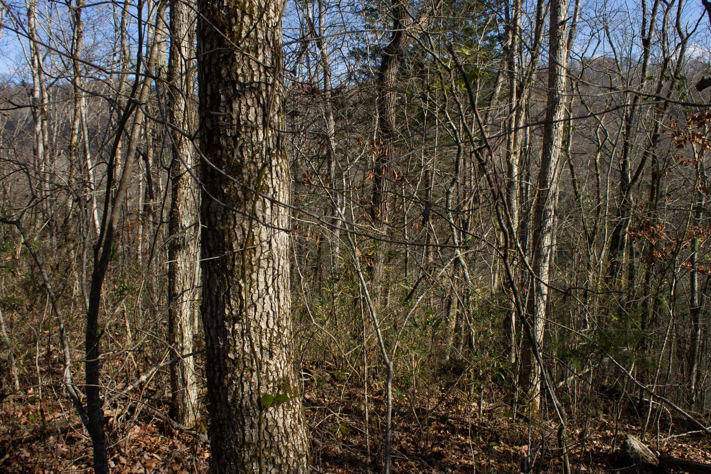 The Cliffs Tract 10 photo 2