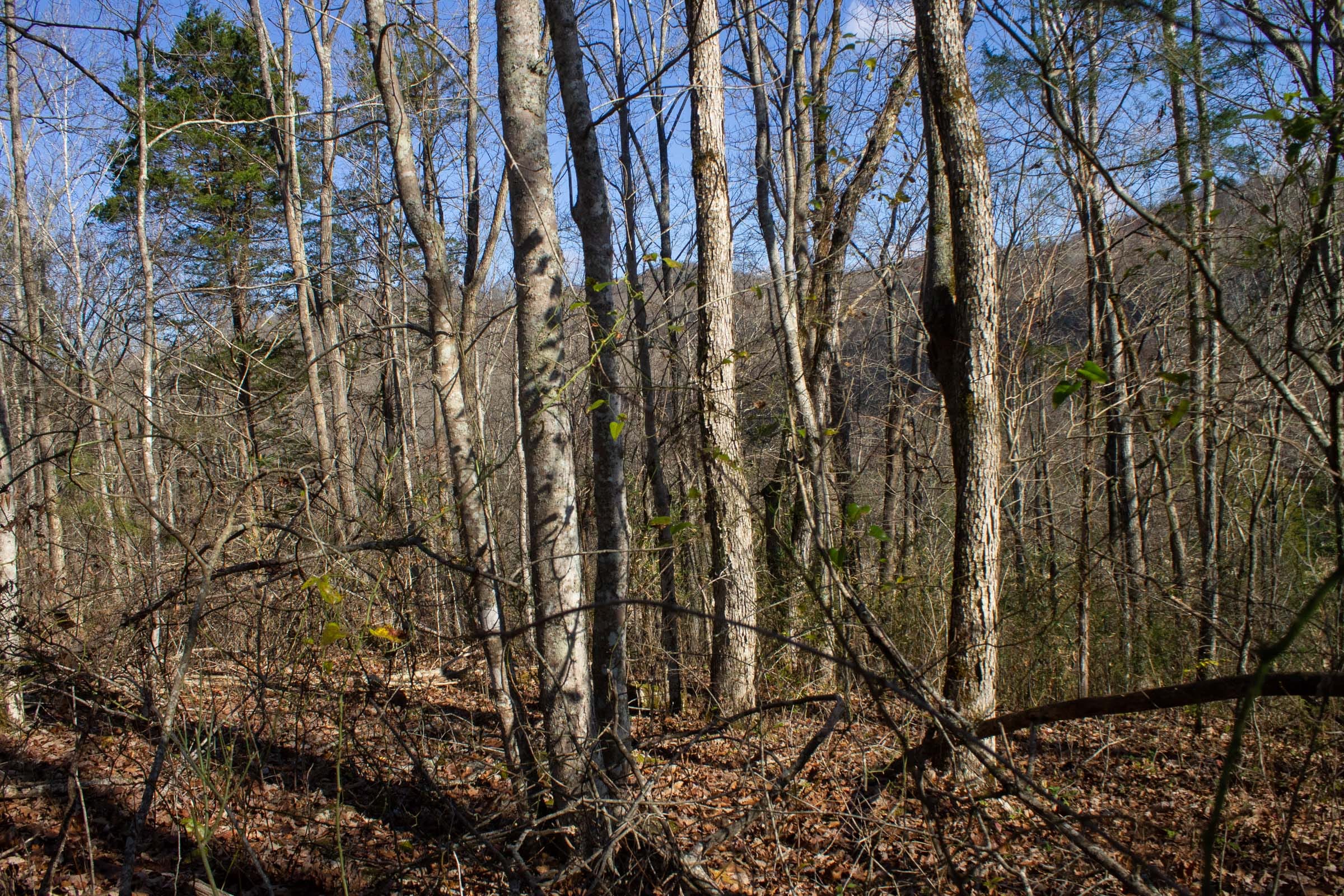 The Cliffs Tract 10 photo 3
