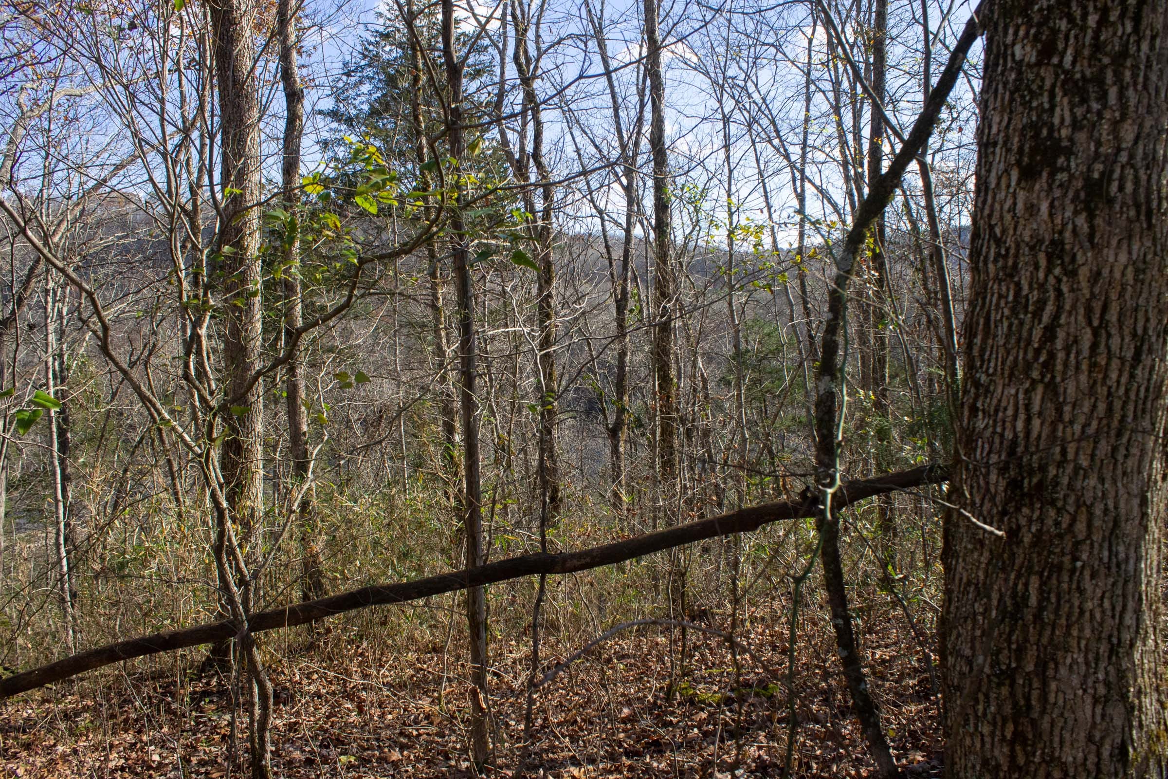The Cliffs Tract 10 photo 4