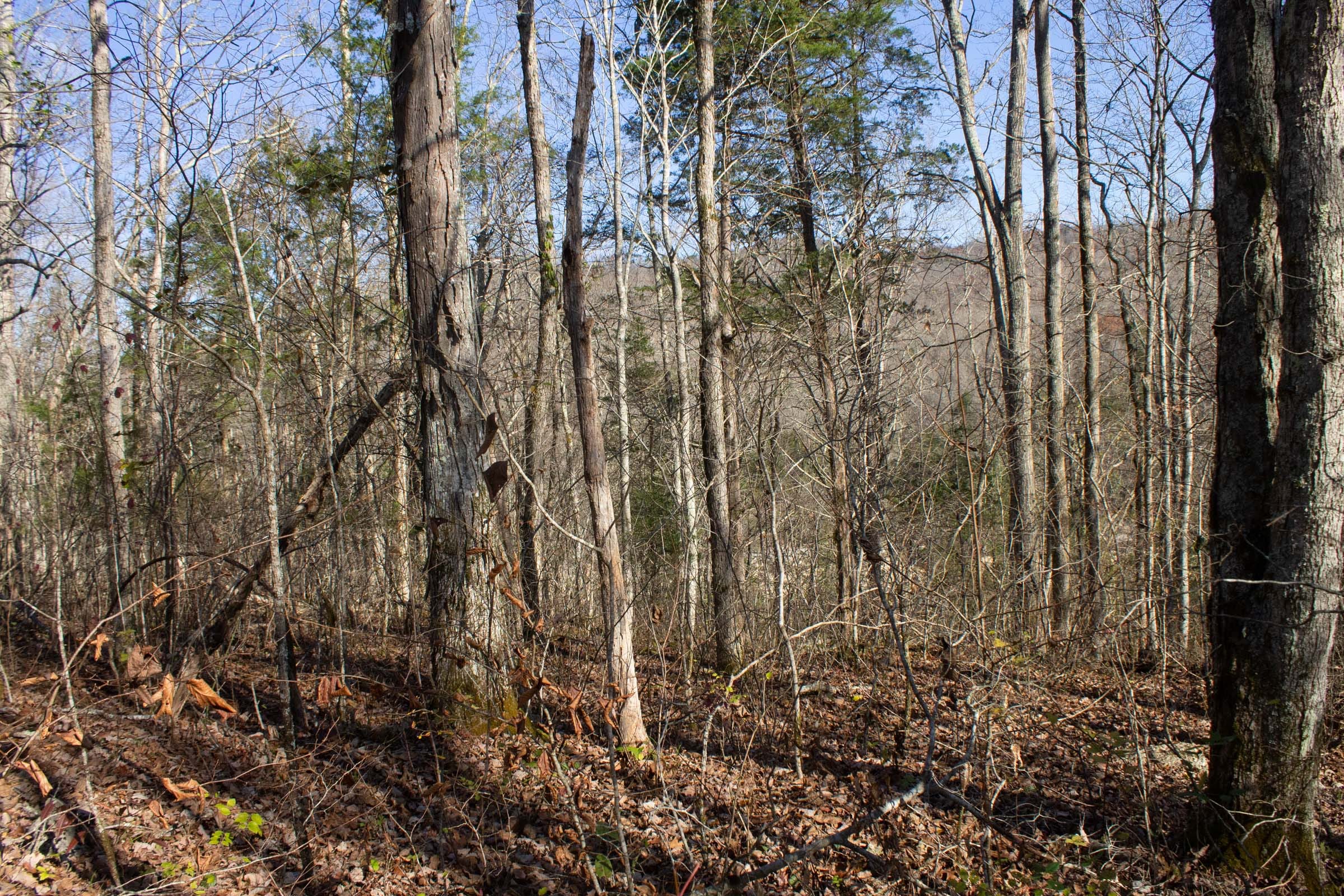 The Cliffs Tract 10 photo 7