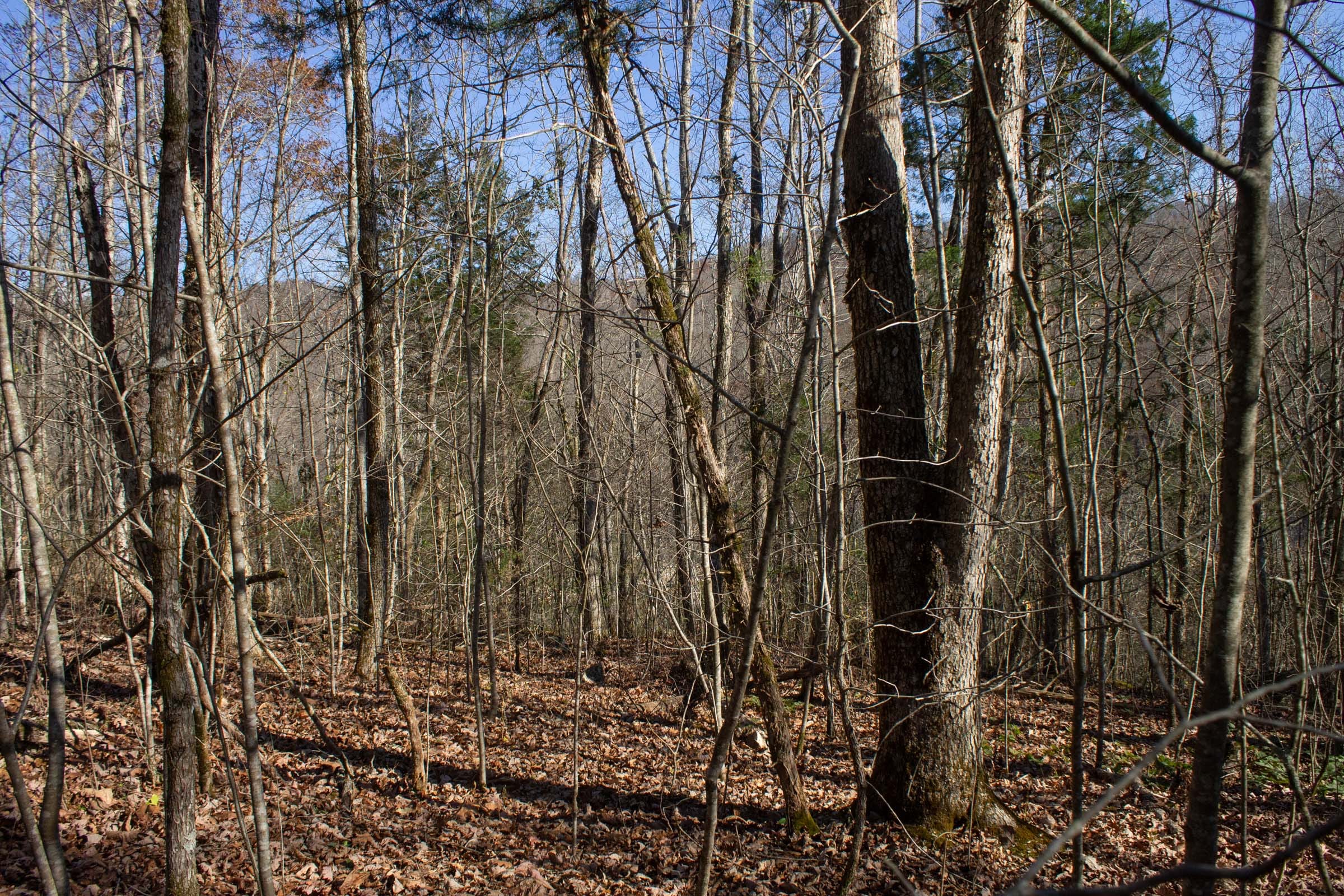 The Cliffs Tract 10 photo 10