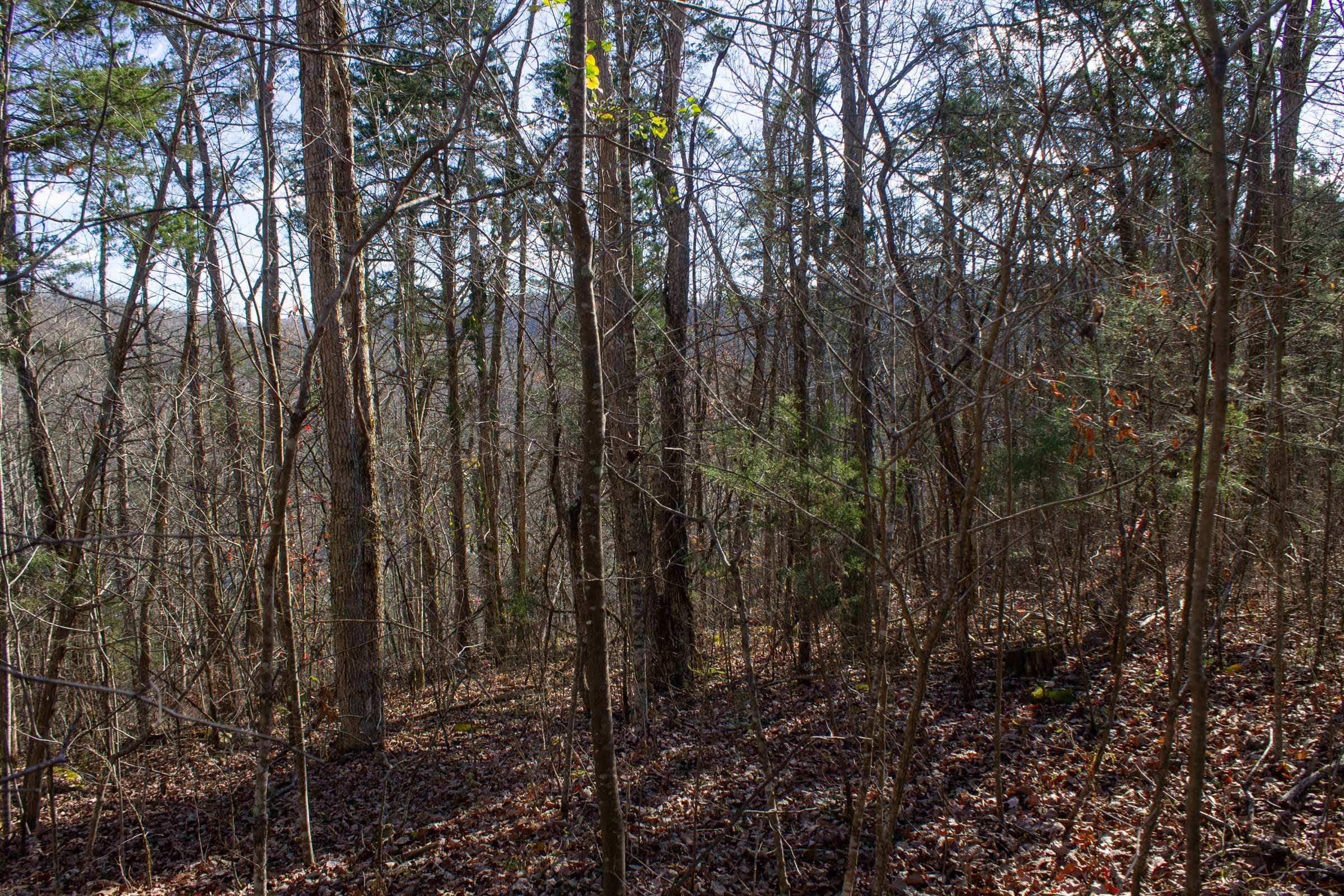 The Cliffs Tract 10 photo 11