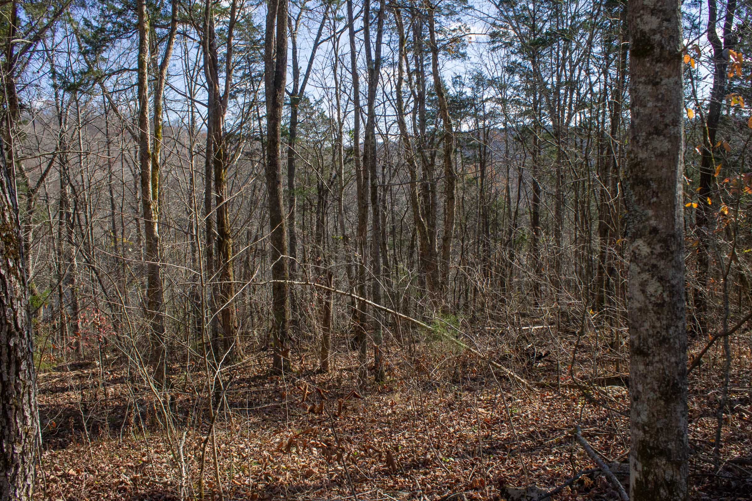 The Cliffs Tract 10 photo 1