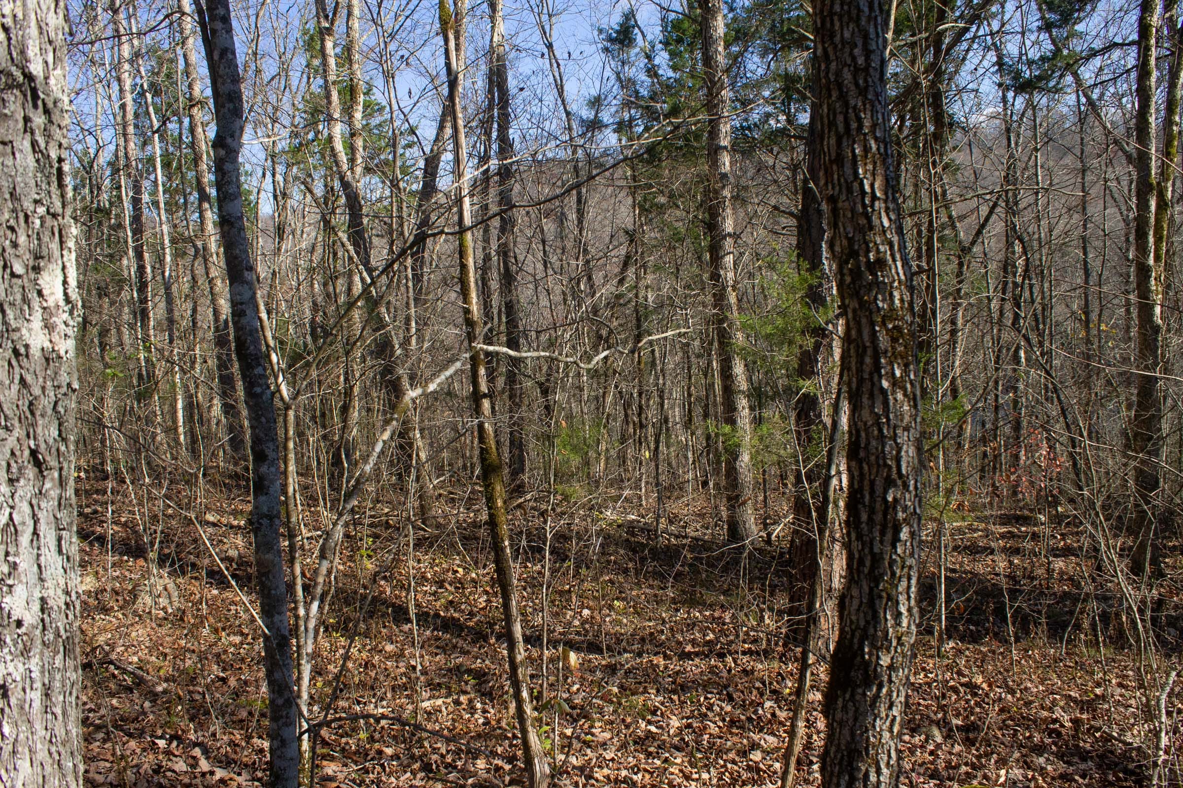 The Cliffs Tract 10 photo 13