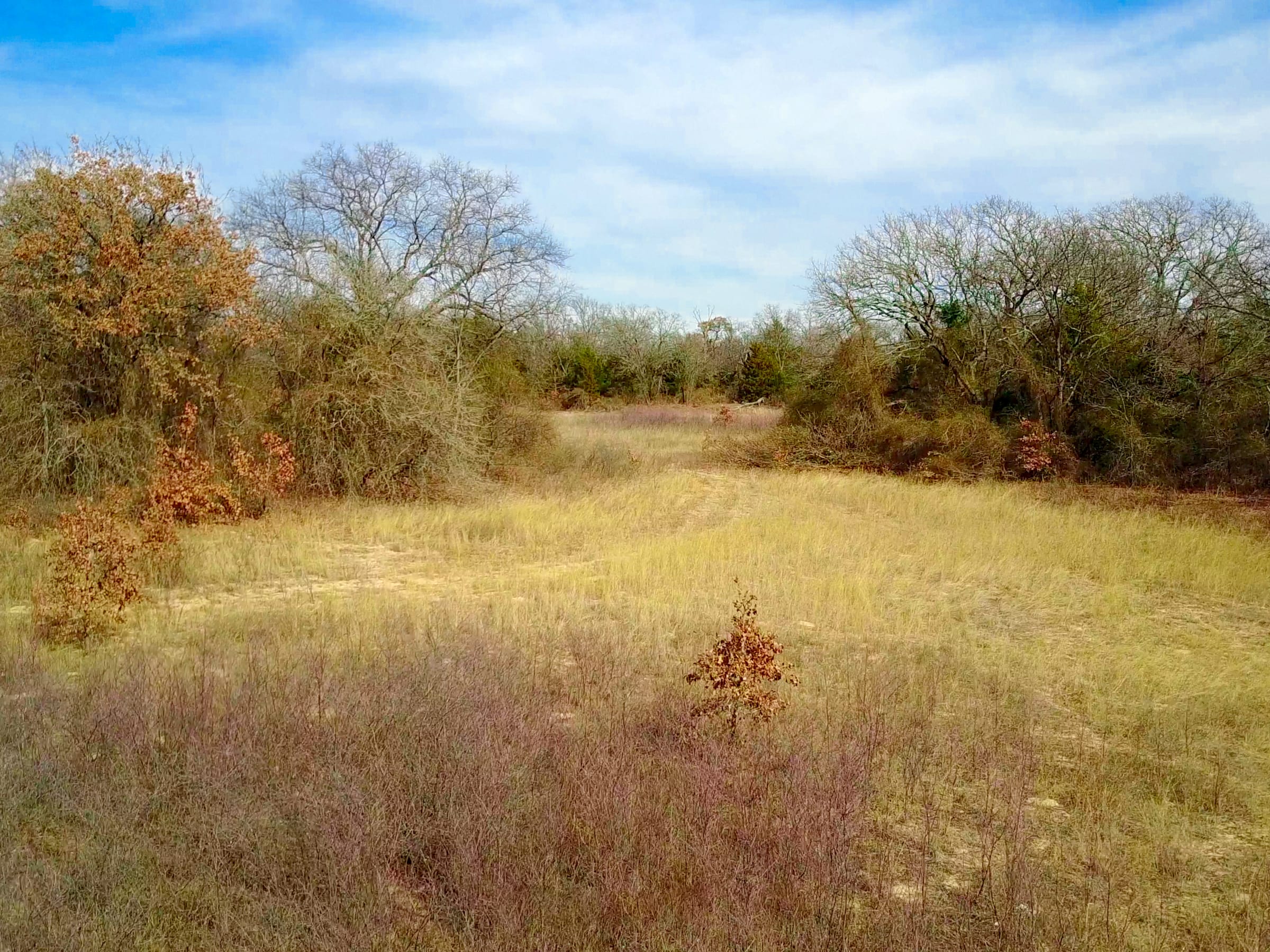 Legacy Ranch Tract 11 photo 23