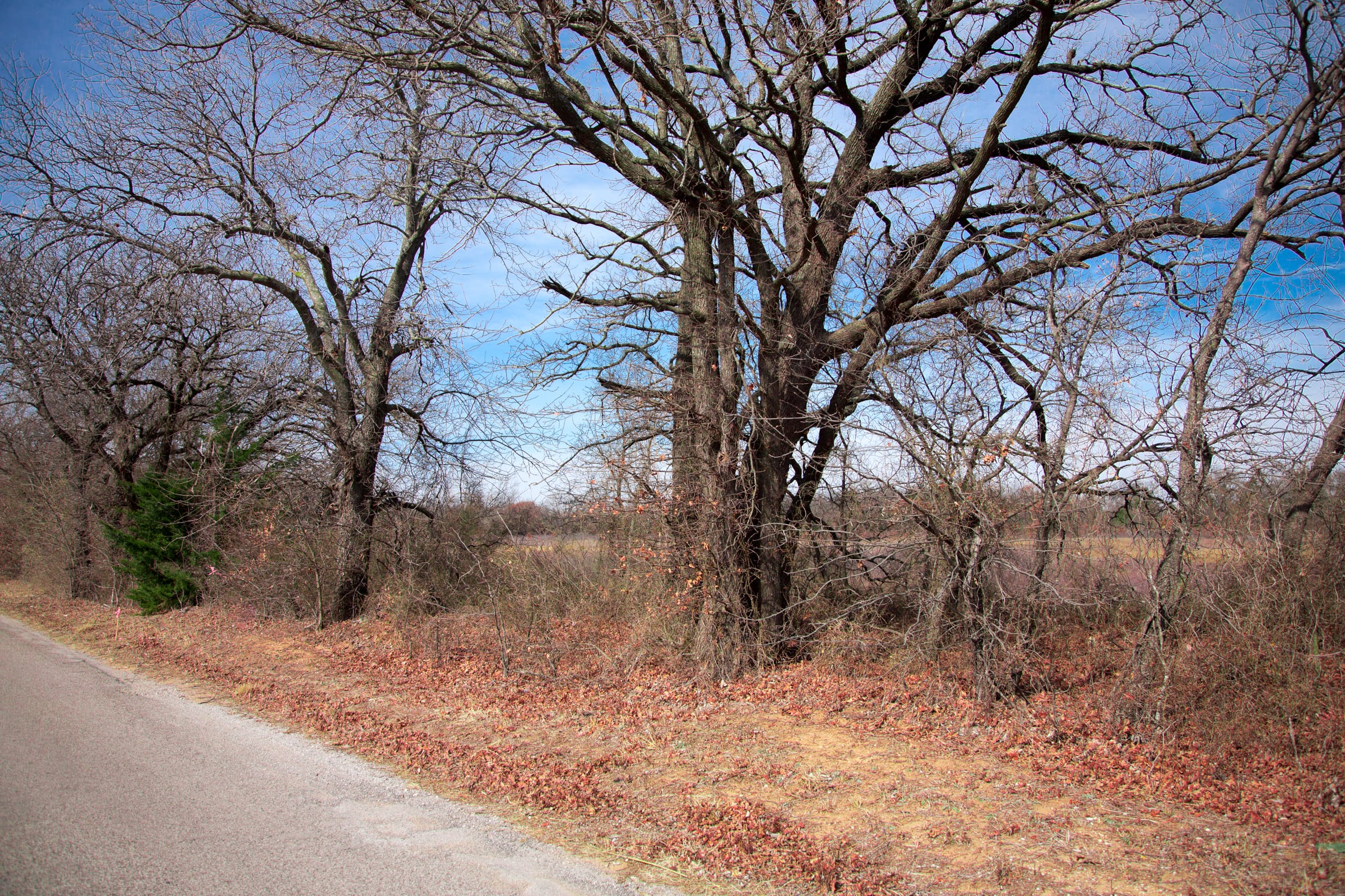 Legacy Ranch Tract 11 photo 14