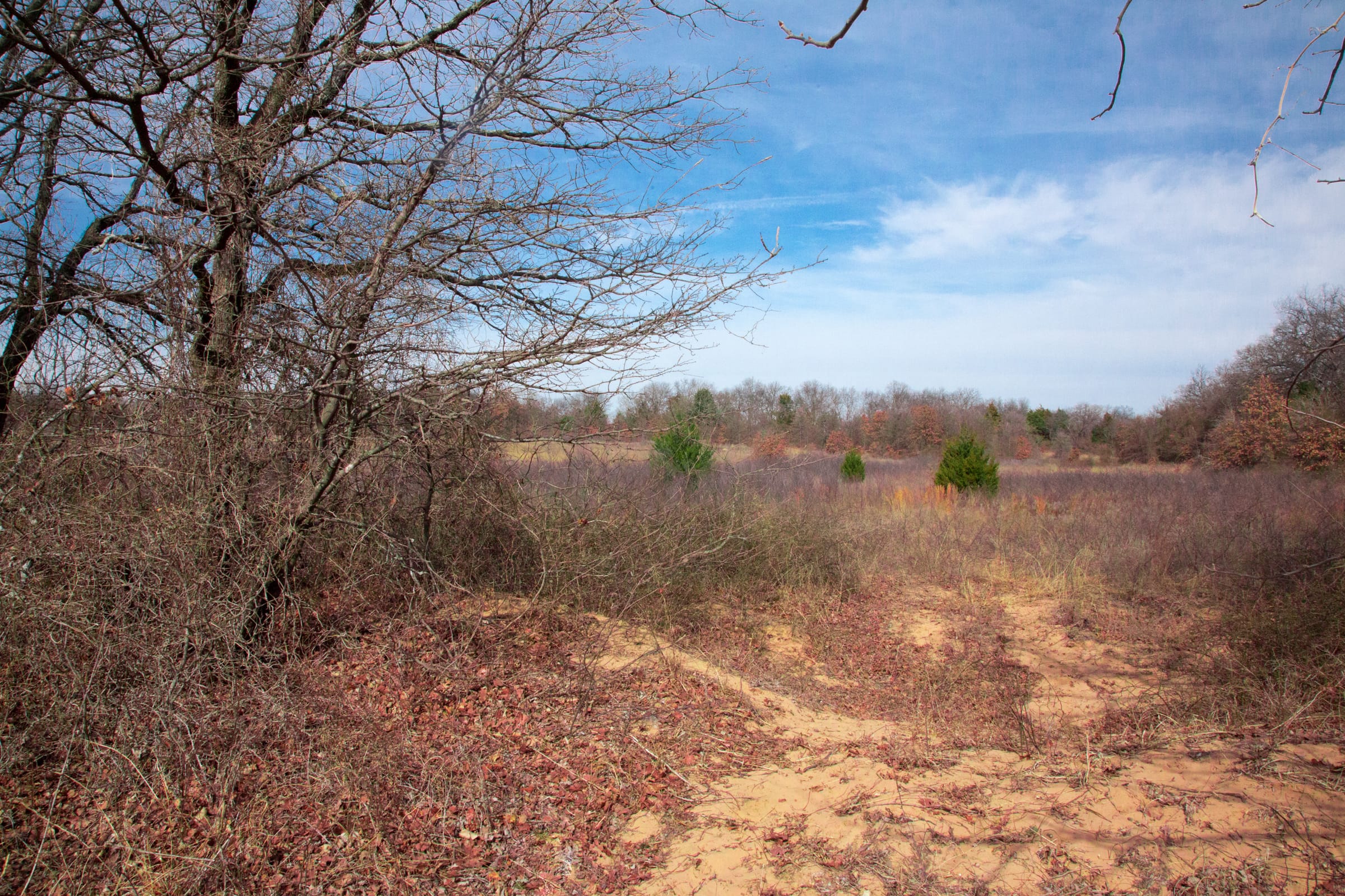 Legacy Ranch Tract 11 photo 12