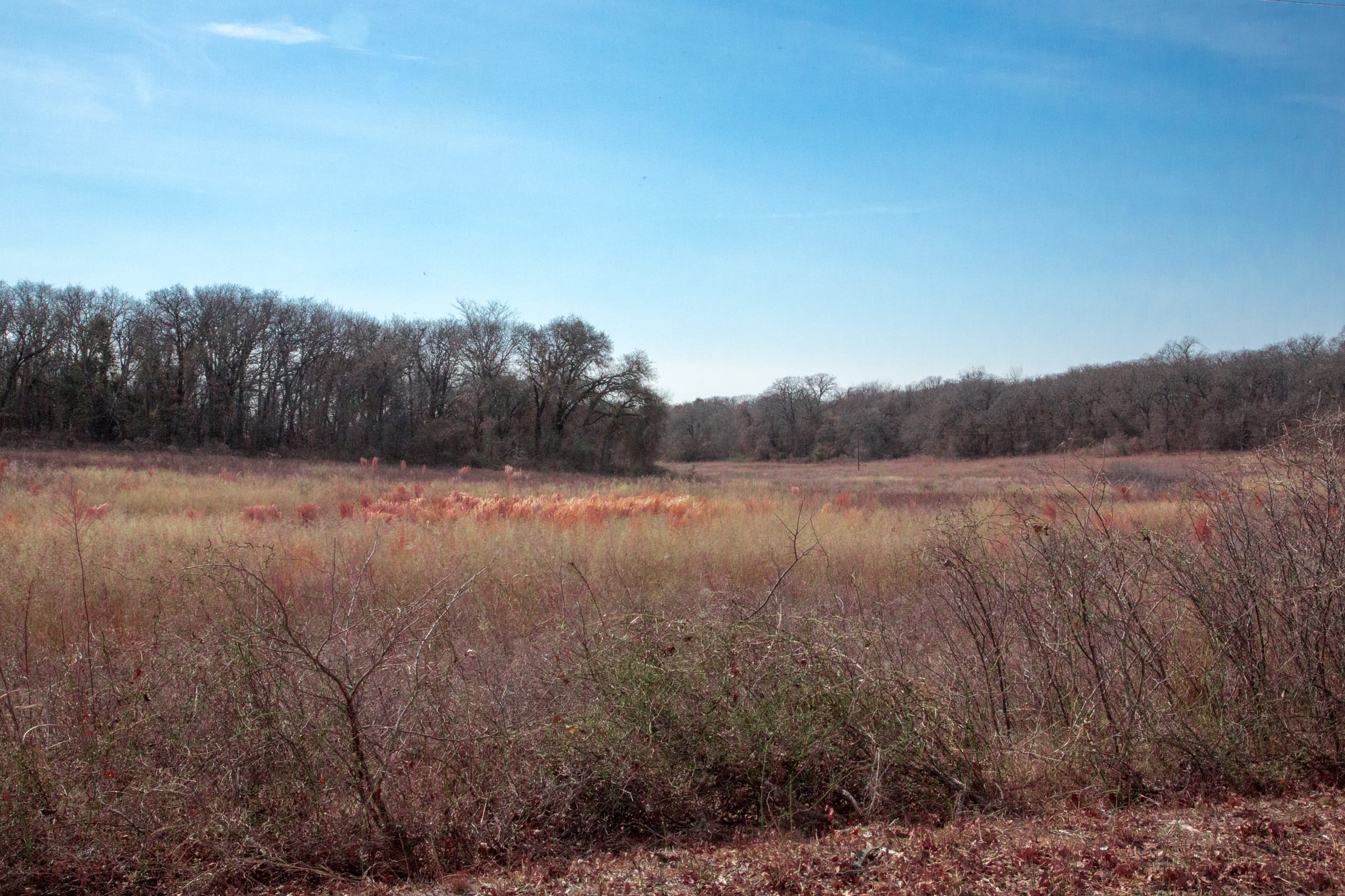 Legacy Ranch Tract 11 photo 11