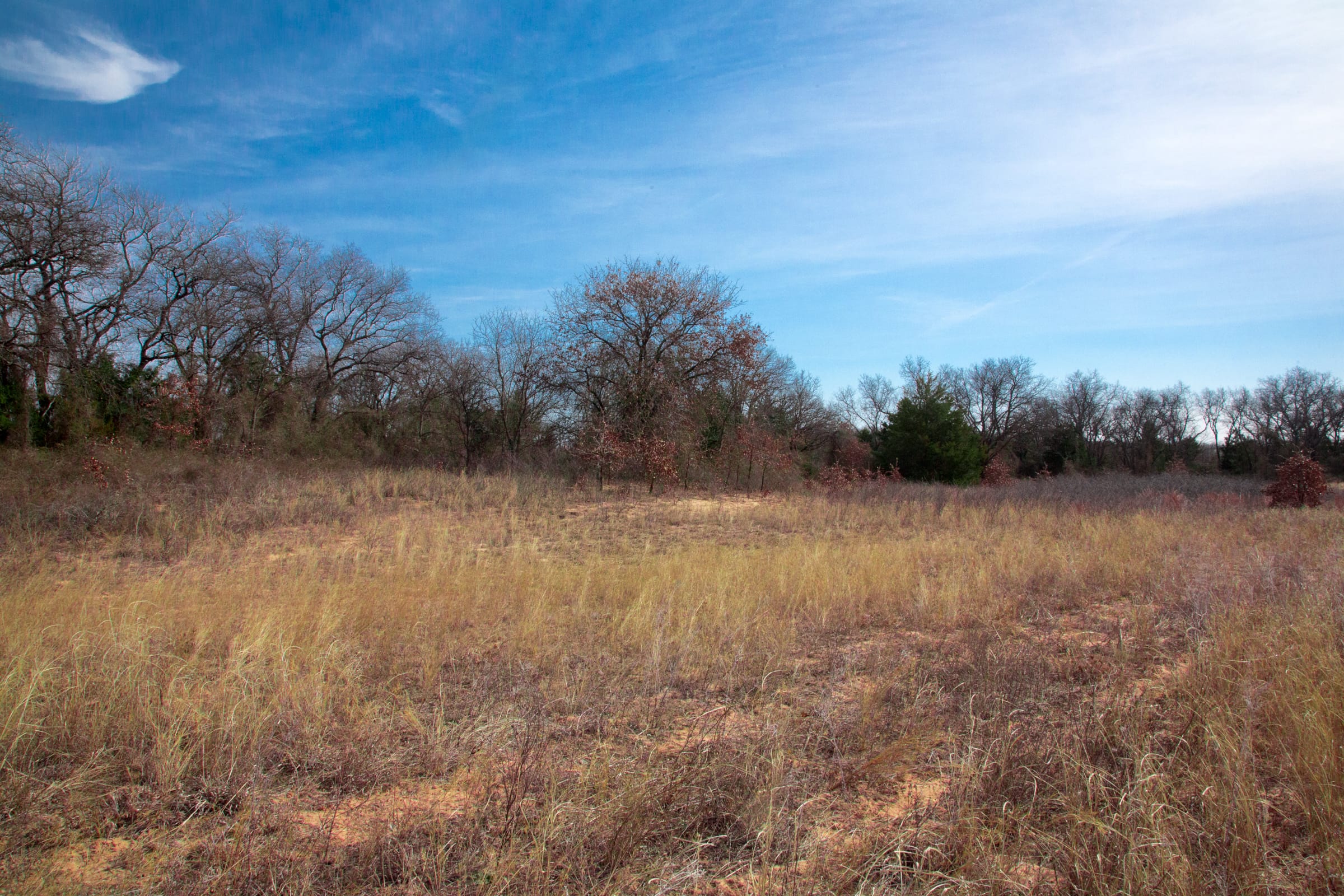 Legacy Ranch Tract 11 photo 6