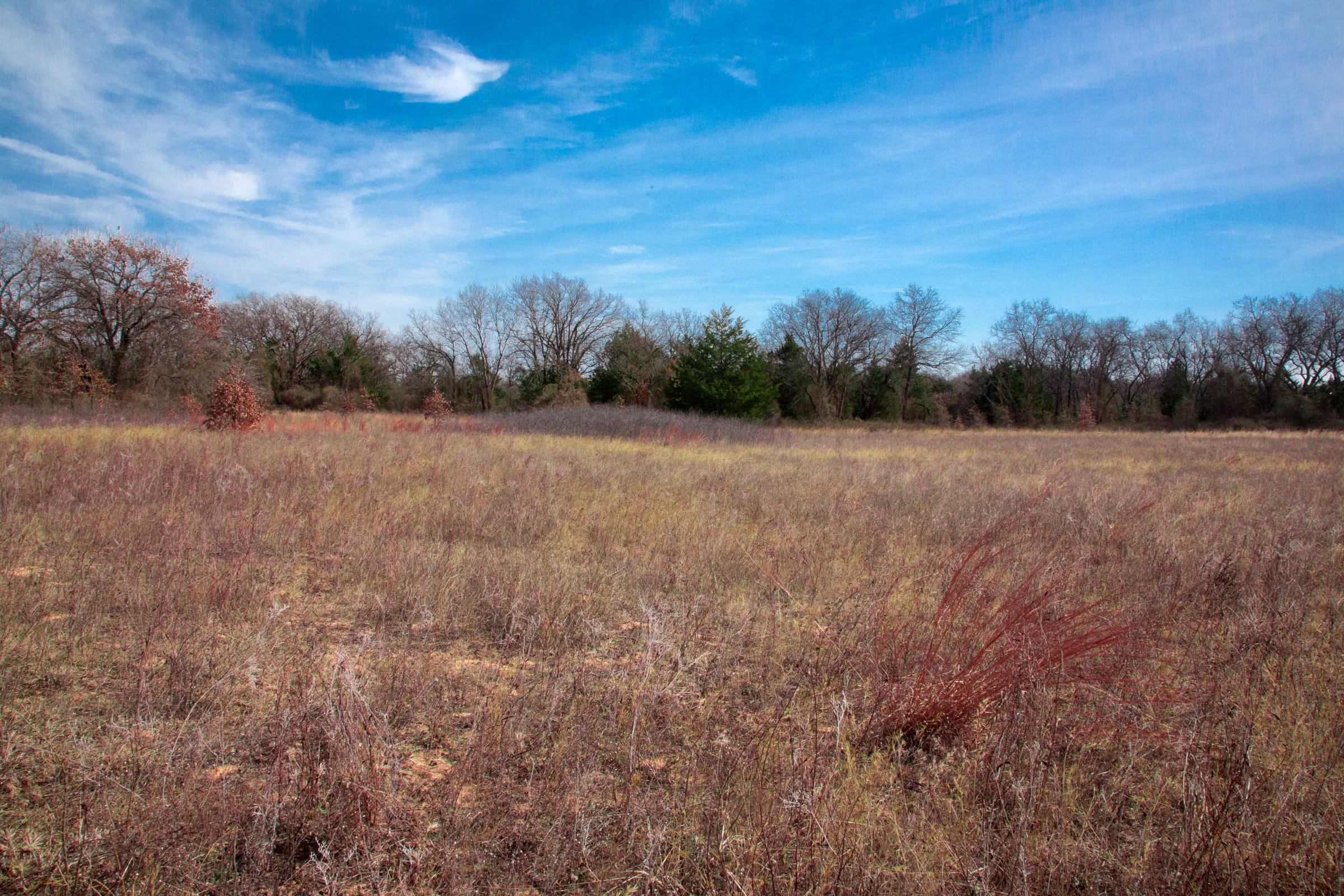 Legacy Ranch Tract 11 photo 5