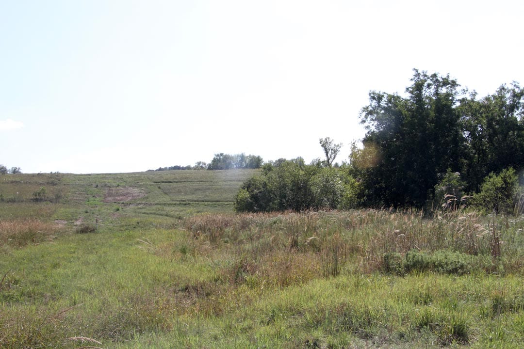 Cowboy Meadows Tract 16 photo 1