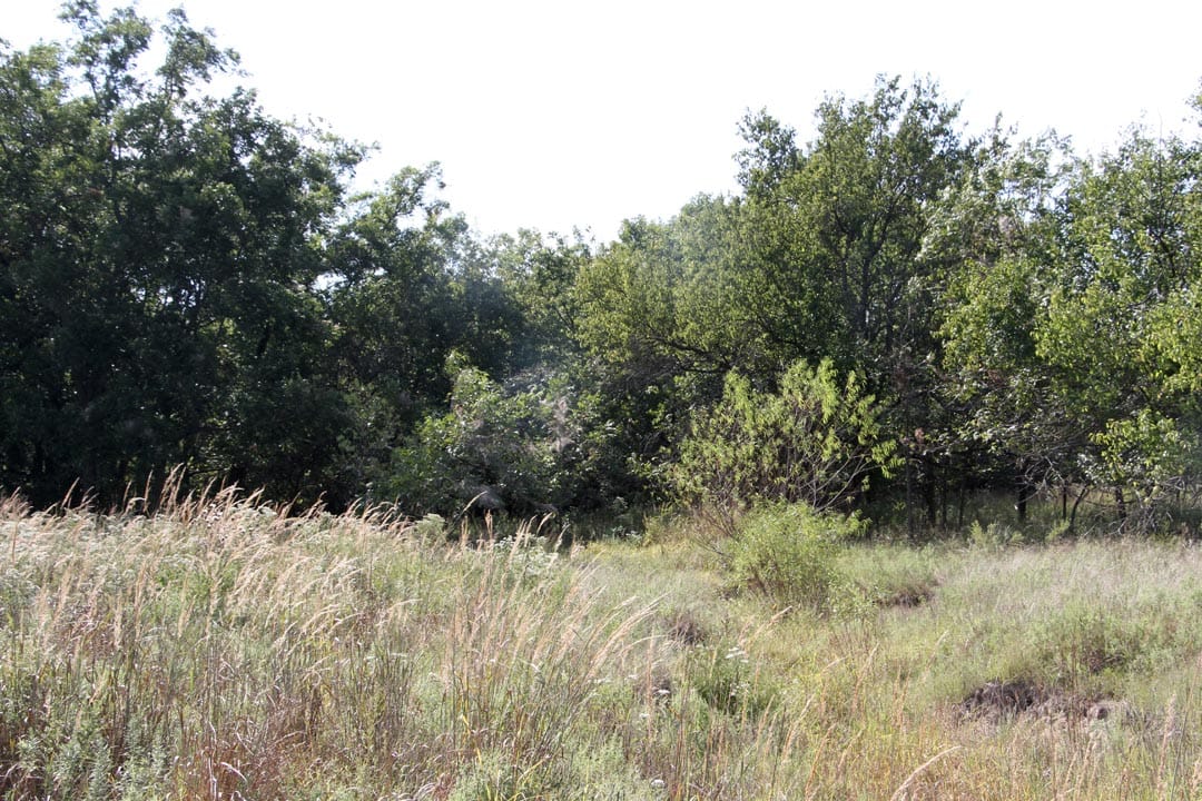Cowboy Meadows Tract 16 photo 2