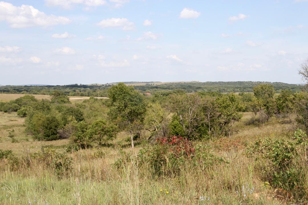 Cowboy Meadows Tract 16 photo 3