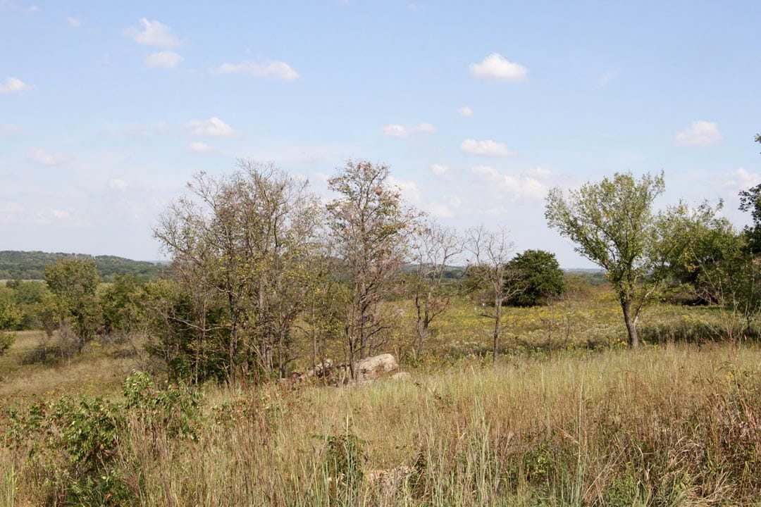Cowboy Meadows Tract 16 photo 4