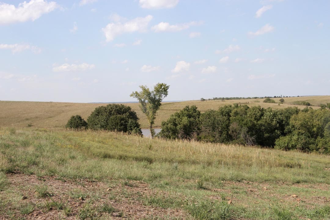 Cowboy Meadows Tract 16 photo 5