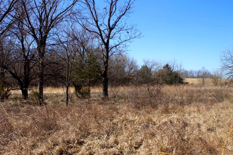 Cowboy Meadows Tract 16 photo 8