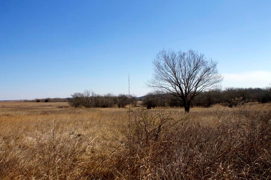 Cowboy Meadows Tract 16 photo 9