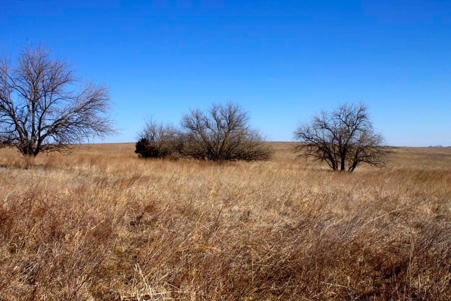 Cowboy Meadows Tract 16 photo 10