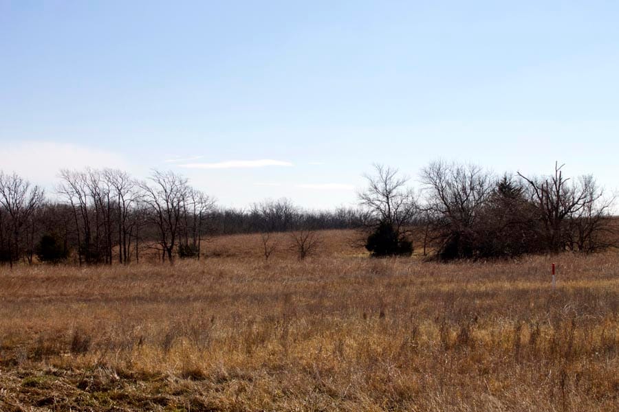 Cowboy Meadows Tract 16 photo 11