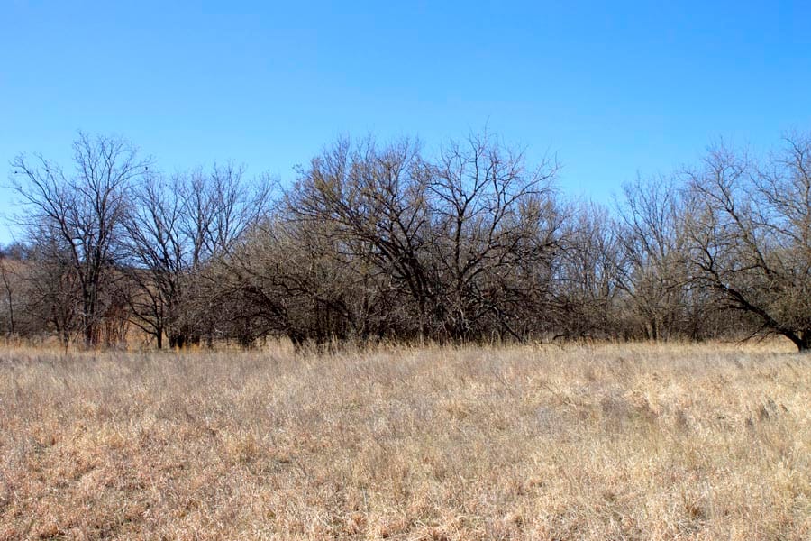 Cowboy Meadows Tract 16 photo 13